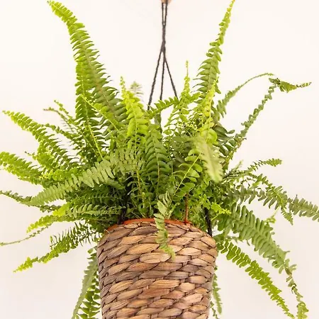 Gota Dagua Surf Camp - Costa Da Caparica, Lisbon 코스타 다 카파리카